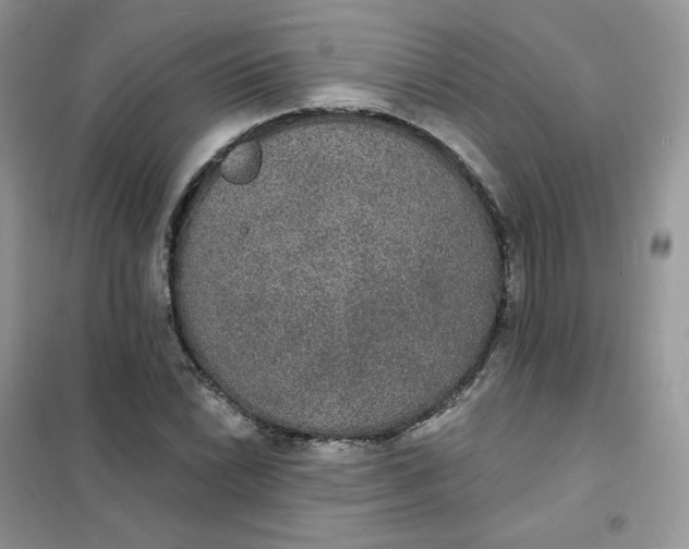 X0000102041022200808011505