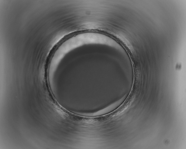 X0000102041023200808011505