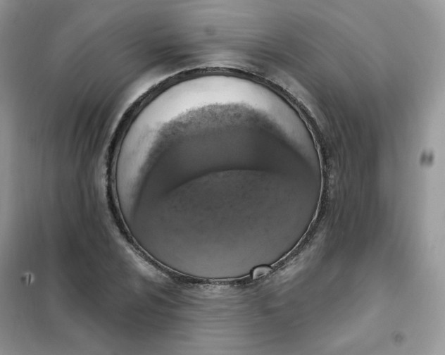 X0000102041024200808011505