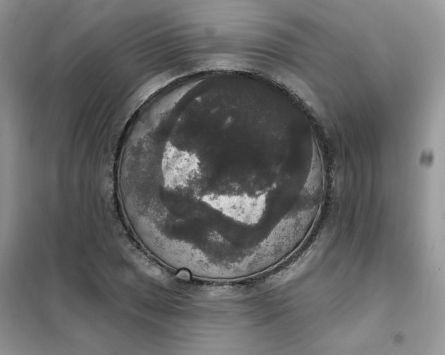 X0000102041025200808011505