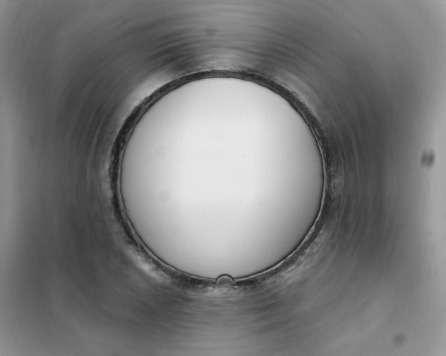 X0000102041026200808011506