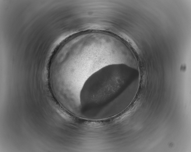 X0000102041027200808011506