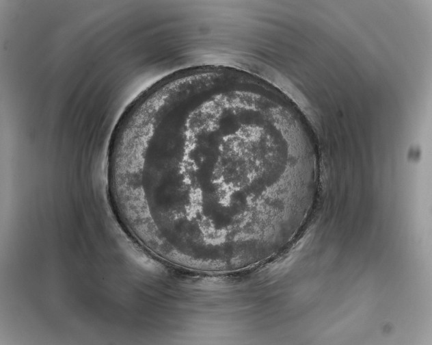 X0000102041028200808011506