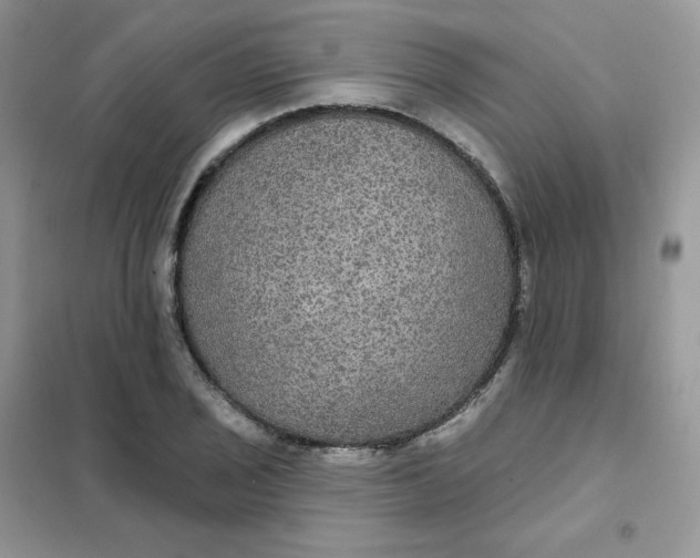 X0000102041029200808011506