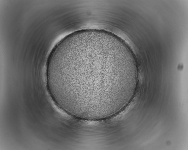 X0000102041030200808011506