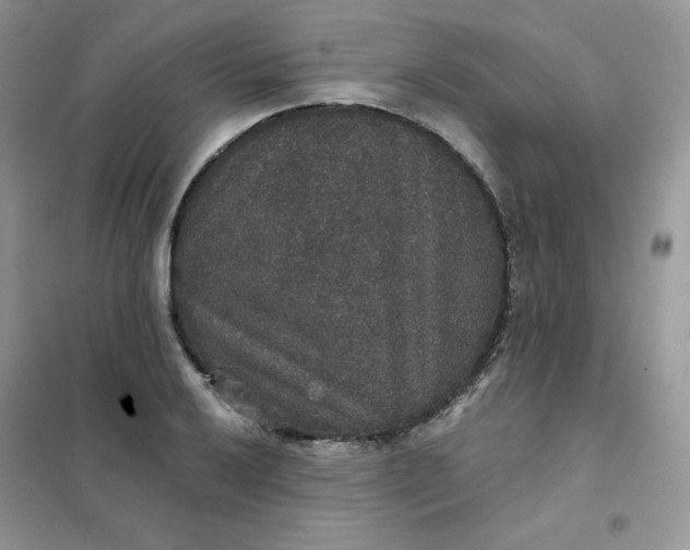 X0000102041032200808011506