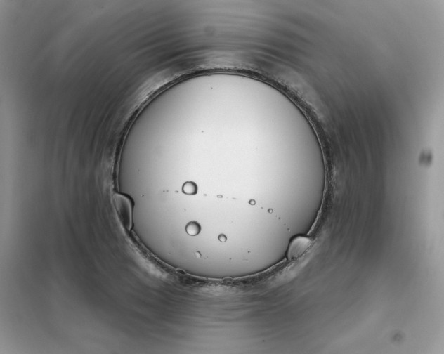 X0000102041033200808011506