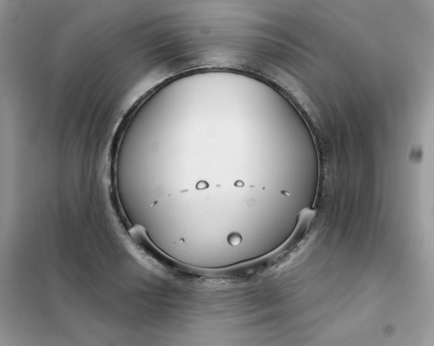 X0000102041034200808011506