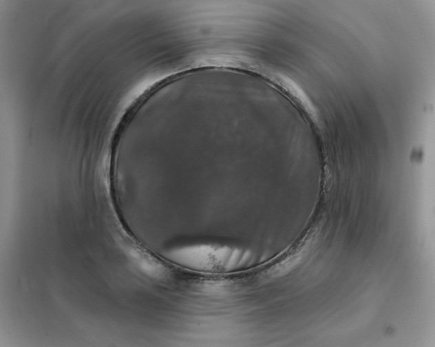 X0000102041035200808011506