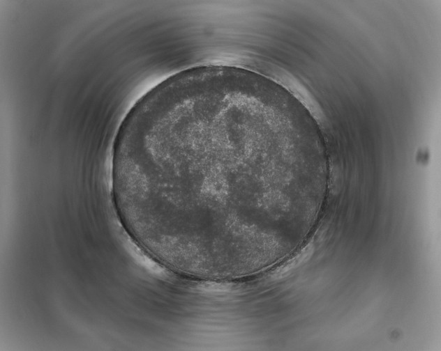 X0000102041036200808011506