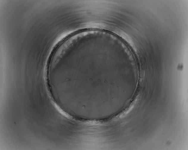 X0000102041037200808011506