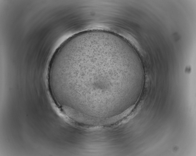 X0000102041038200808011506