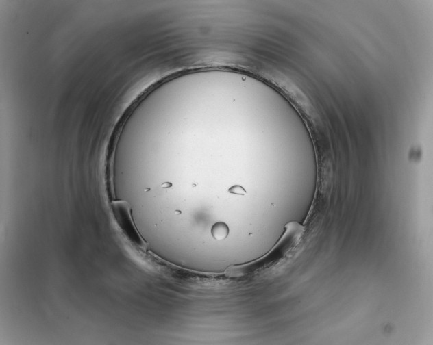 X0000102041039200808011506