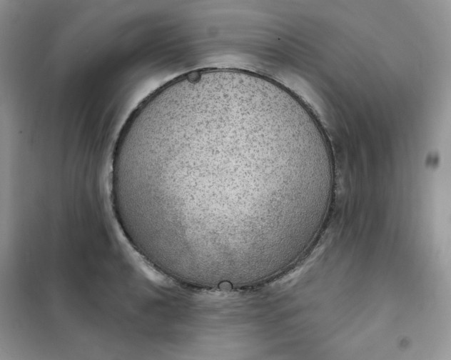 X0000102041040200808011506