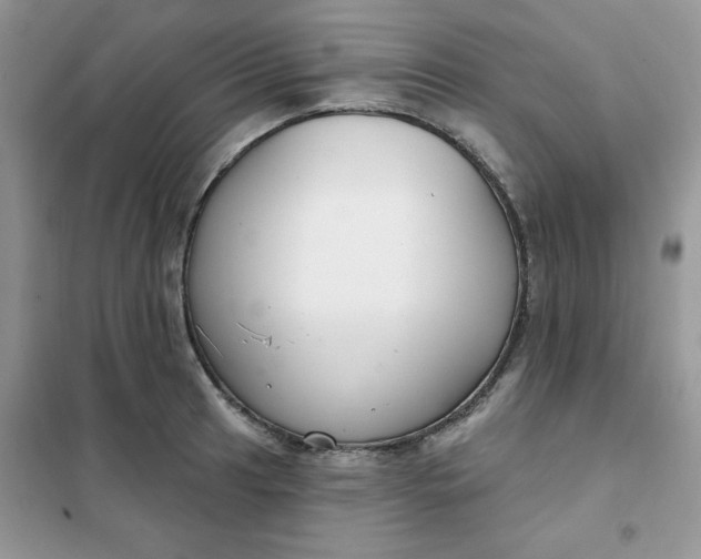 X0000102041041200808011506