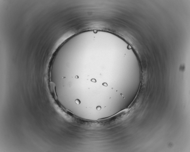 X0000102041042200808011506