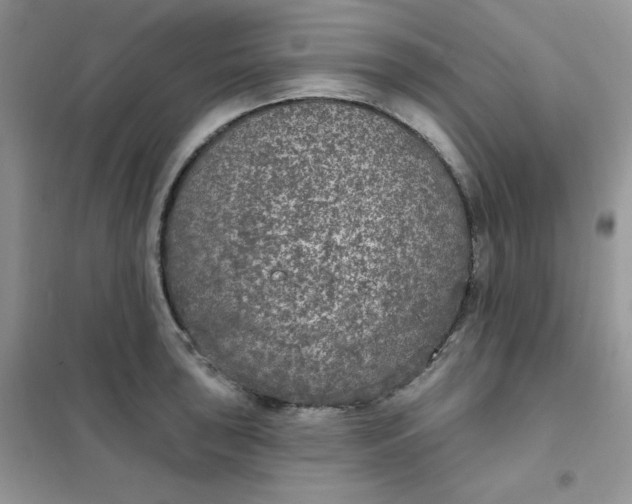 X0000102041043200808011506