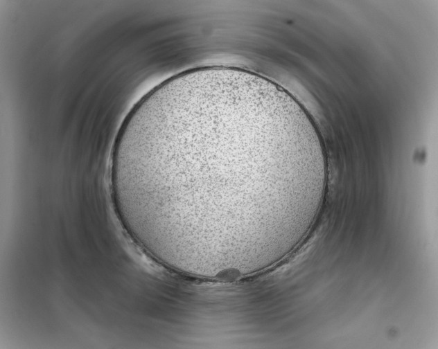 X0000102041044200808011506