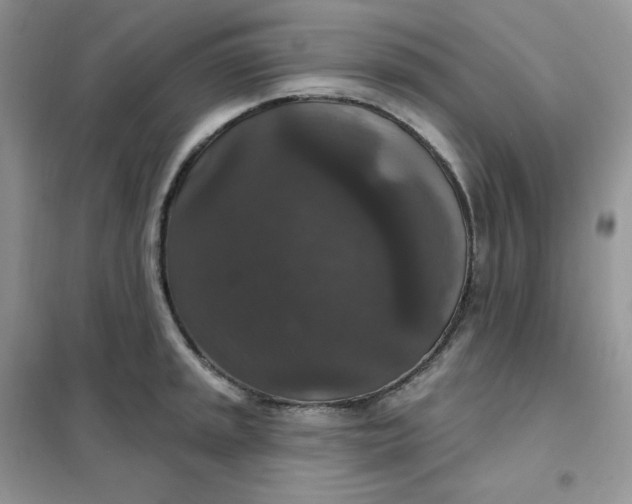 X0000102041045200808011506