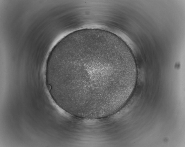 X0000102041046200808011506