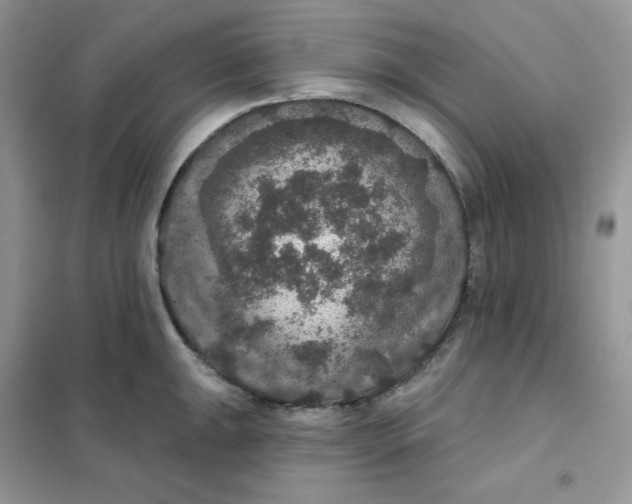 X0000102041047200808011506