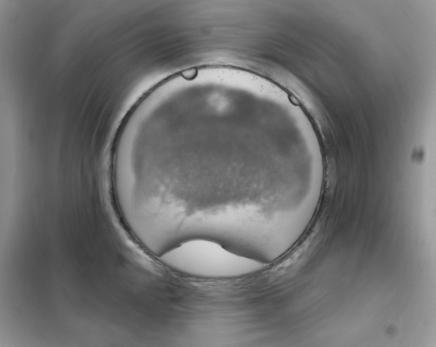 X0000102041048200808011506