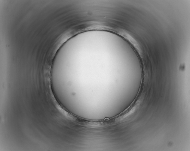 X0000102041049200808011506