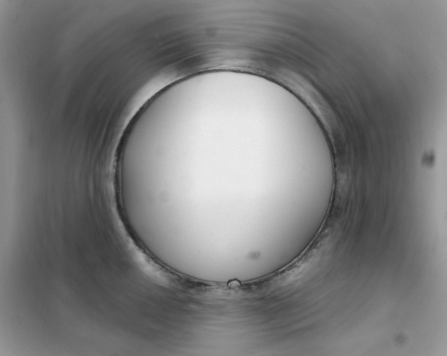 X0000102041050200808011506