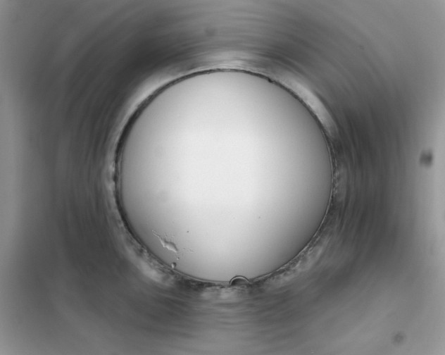 X0000102041051200808011506