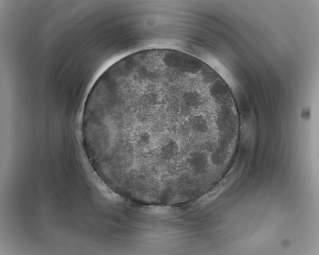 X0000102041052200808011506