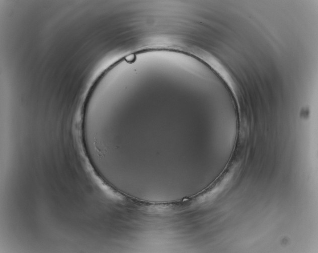 X0000102041053200808011506