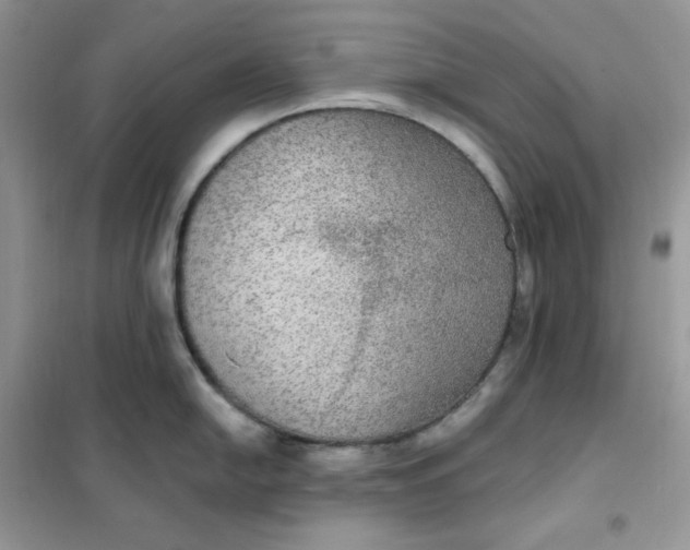 X0000102041054200808011506