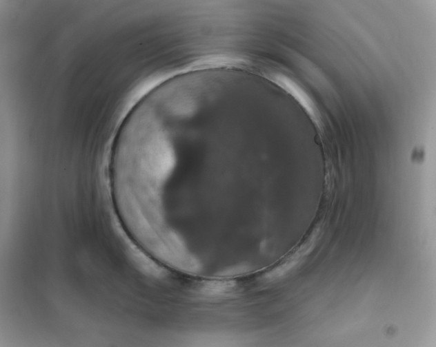 X0000102041055200808011506