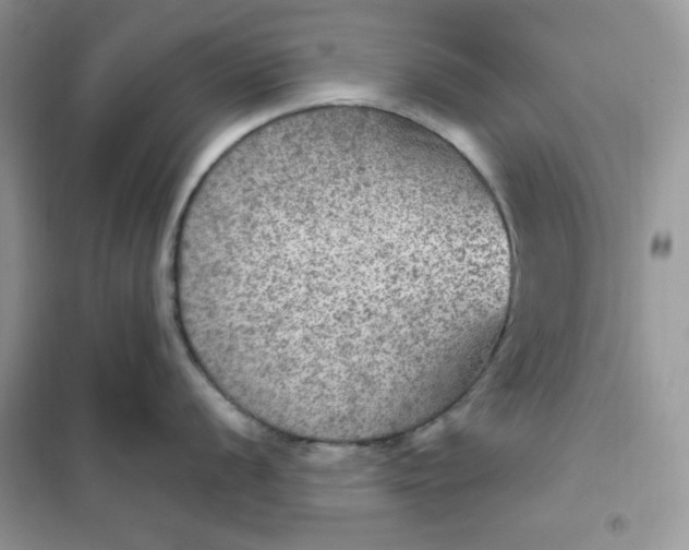 X0000102041056200808011506