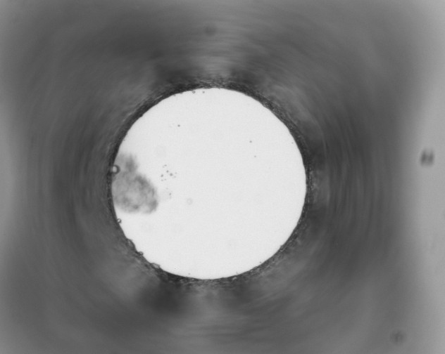 X0000102041057200808011505