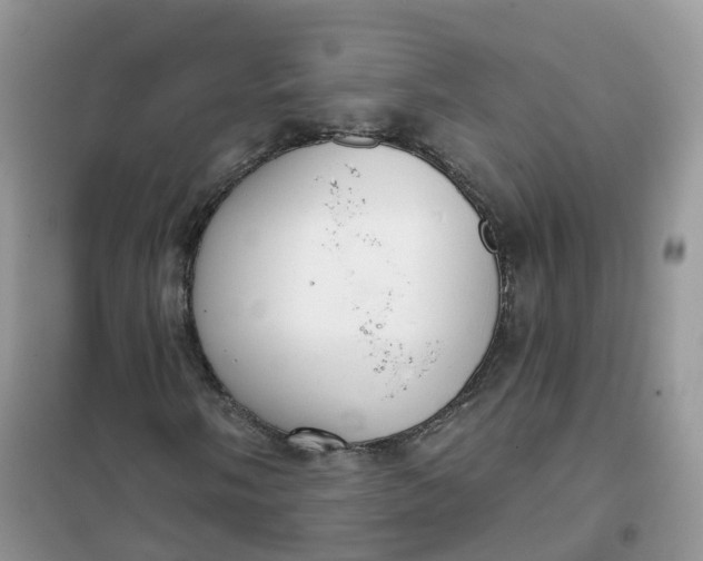 X0000102041058200808011505