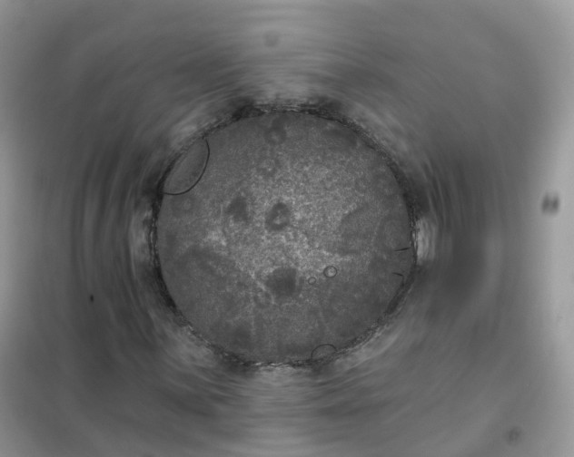 X0000102041059200808011505