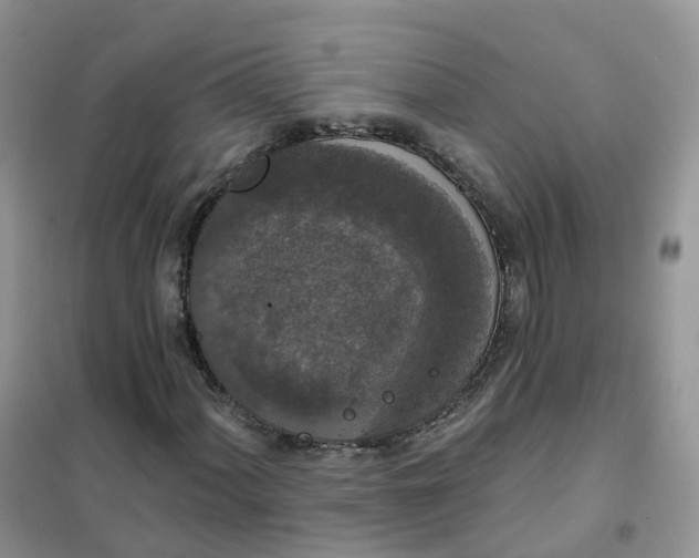 X0000102041060200808011505