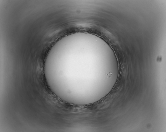 X0000102041061200808011505