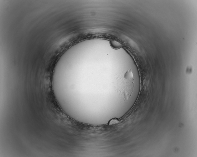 X0000102041062200808011505