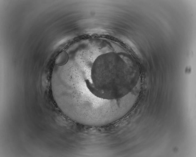 X0000102041063200808011505