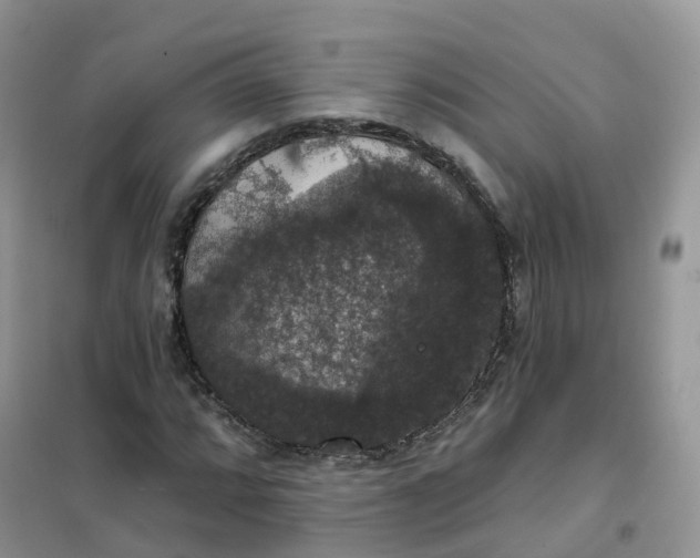 X0000102041064200808011505