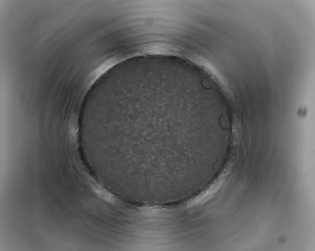 X0000102041065200808011505