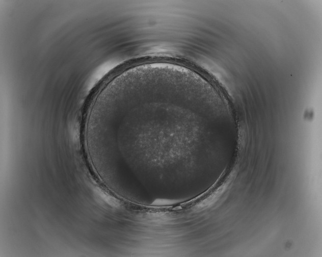 X0000102041066200808011505