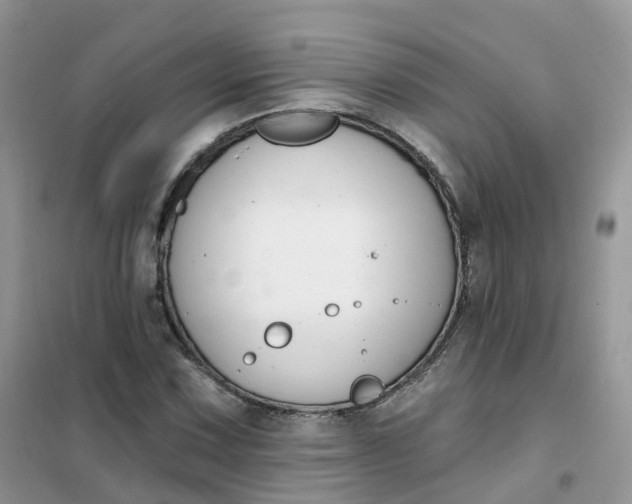 X0000102041067200808011505