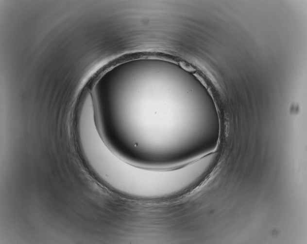 X0000102041069200808011505