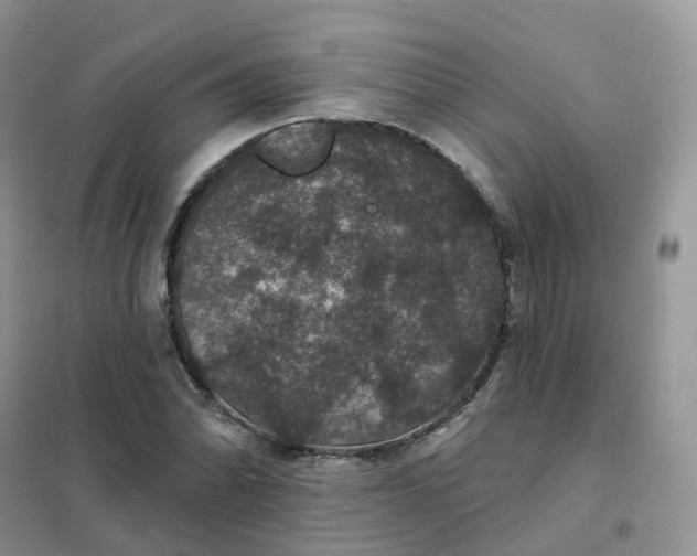 X0000102041070200808011505