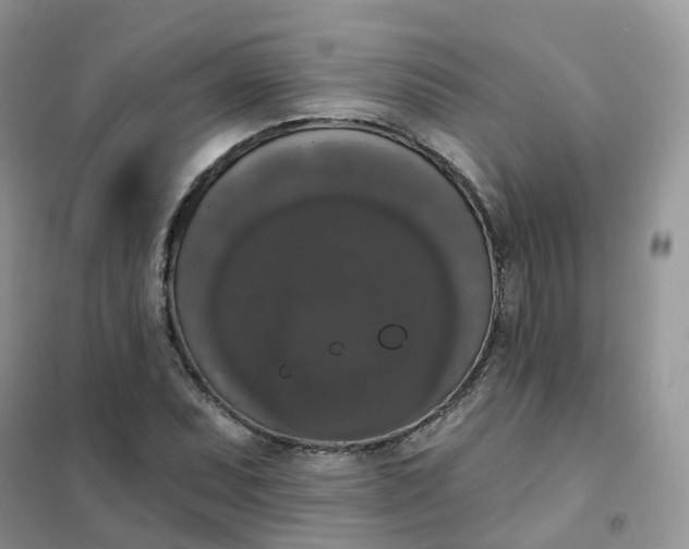 X0000102041071200808011505