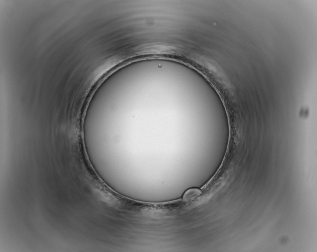 X0000102041073200808011505