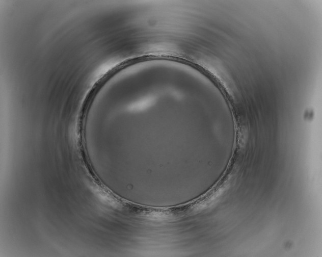 X0000102041074200808011505